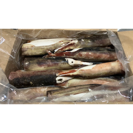 【生食可】青森県産アカイカ バラ冷凍 10kg 約20杯 いか烏賊