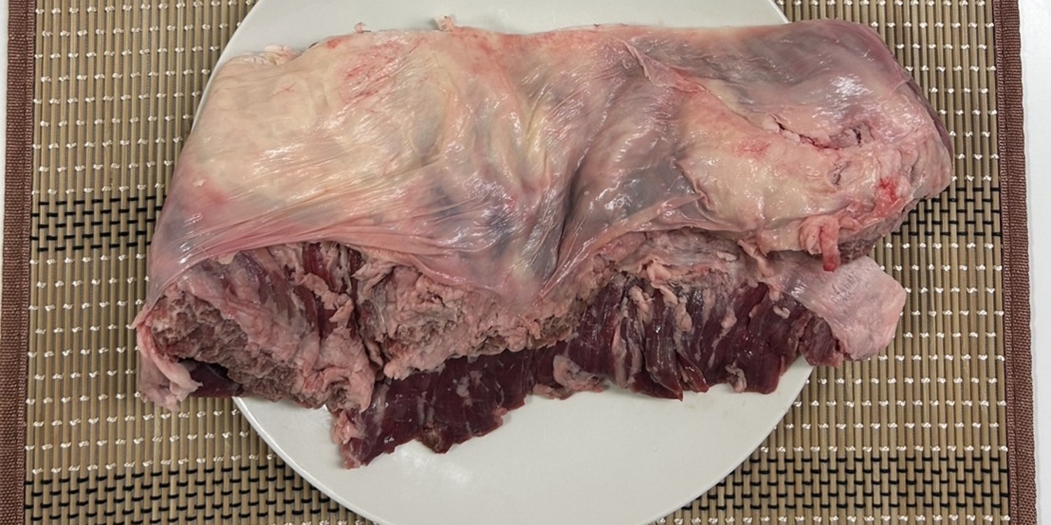 WAGYU JAPAN