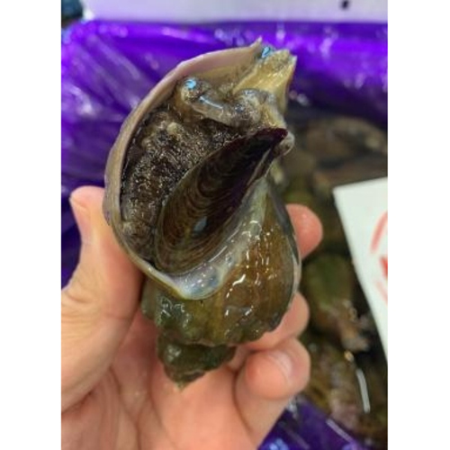 北海道産青つぶ 業務用食材卸売サイトのispフーズ