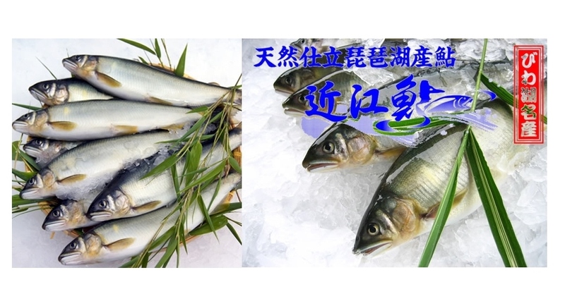 愛知川養殖漁業生産組合