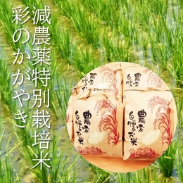 【減農薬米】元年産 新米! 彩のかがやき 白米 30kg 《減農薬・特別栽培米》