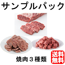 お試しセット焼肉【サンプルセット】【送料無料】該当商品購入で実質無料　※1企業様1回限り
