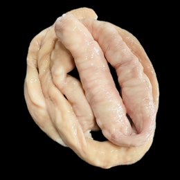 ⭐︎8kg以上で送料無料⭐︎国産牛 丸腸 もつ/焼肉/ホルモン　