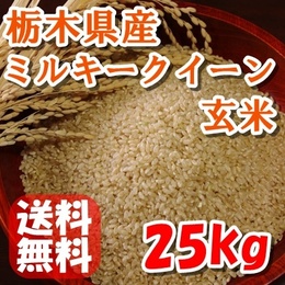 【送料無料】令和4年産新米!栃木県産　ミルキークイーン　玄米