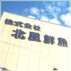 上田 悟史