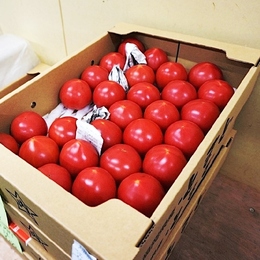 【九州産】トマト 4kg(20～28玉)