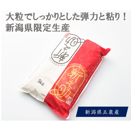 【送料無料】新潟県限定生産のブランド米 令和7年 新之助　精米