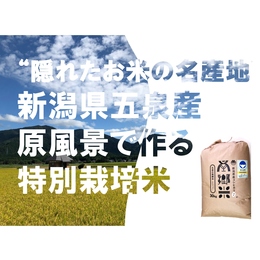 【送料無料】精米擦切 令和7年 特別栽培 ''隠れたお米の名産地''新潟県五泉産コシヒカリ「南郷米」