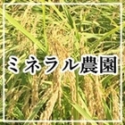 山本光彦