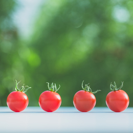 【島根県産】オランダ式ハウスで最新農法でつくったフルーツトマト3kg