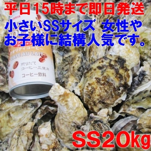 コスパ抜群【15時まで即日発送】加熱用牡蠣SS20kg 約400粒 殻付き牡蠣