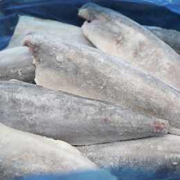 骨取りアジフィーレ　30入/5kg　フィレ