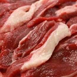 本州産　月の輪熊(ツキノワグマ)