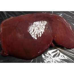 格安【小田原産】小田原のめぐみ　新鮮鹿レバー