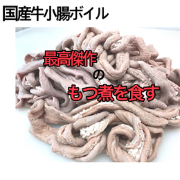 【煮込みに最適】国産牛小腸ボイル　5kg