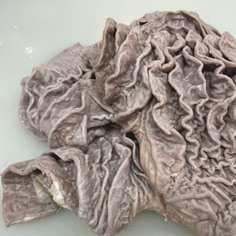 【鮮度抜群】国産牛ナヘラボイル(ギアラ)　3kg