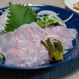 北海道産 お刺身ニシンフィーレ リキッド凍結 業務用食材卸売サイトのispフーズ