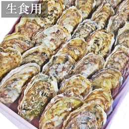 生食用 広田湾の殻付き牡蠣 大 30個 