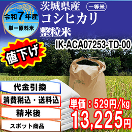 コシヒカリ整粒米 精白米 茨城県 R7年産【IK-ACA07253-TD 5kg袋×5入】