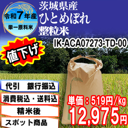 ひとめぼれ整粒米 精白米 茨城県 R7年産【IK-ACA07273-TD 5kg袋×5入】