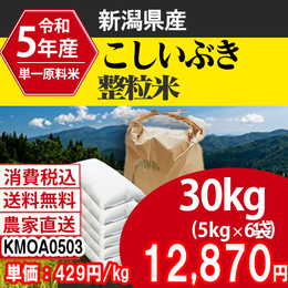 こしいぶき 新潟県 5年産 整粒米 [KMOA05033-I-09] 30kg 【代引】