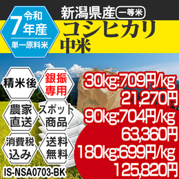 コシヒカリ 精白米 新潟県加茂 R7年 中米 【IS-NSA07033-BK-99】