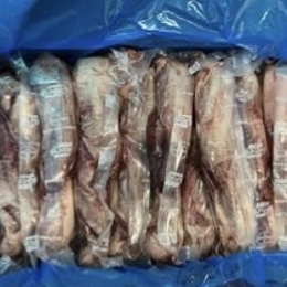 決算セール!特別価格でイベリコ豚のタンをご案内!!