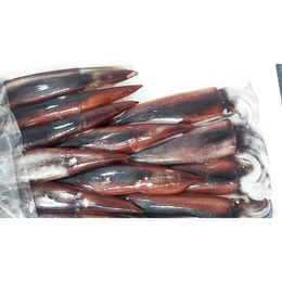 青森 真いか スルメイカ 300g 1杯500円 業務用食材卸売サイトのispフーズ