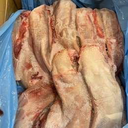 国産豚タンLサイズ!串うちに使いやすい!豚タンL