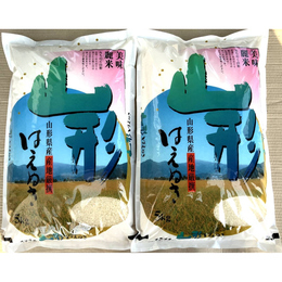 令和6年産! 山形県産 はえぬき 白米5kgx4袋