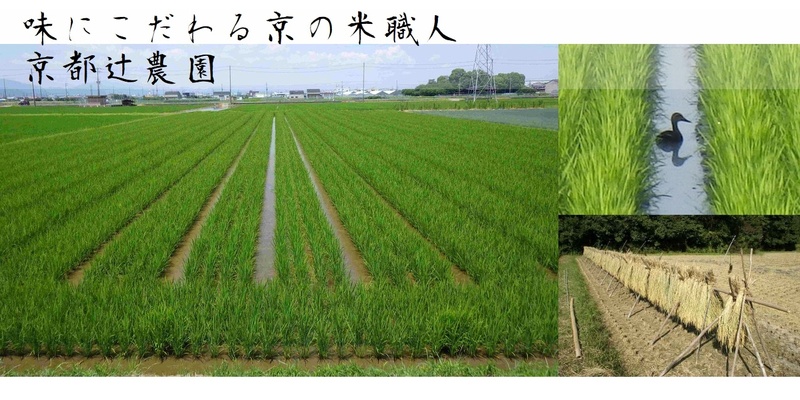 味にこだわる京の米職人 京都辻農園