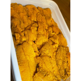 【サンプル】最安値に挑戦中!Aグレード　ミョウバン無【1パック〜】冷凍　濃厚ウニ100g