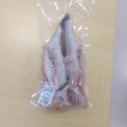 活けとらふぐミガキ(冷凍)　原型1尾/800～900g1尾真空
