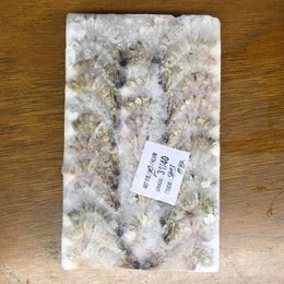 無頭バナメイえび31/40