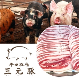 【ブランド・銘柄豚】平牧三元豚 バラ肉 スライス 厚み約2mm