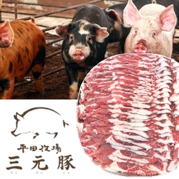 【ブランド・銘柄豚】平牧三元豚 肩ロース肉 厚切りスライス 厚み約2cm