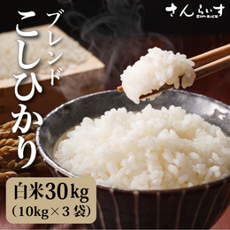 令和3年業務用米『米が一番』白米30kg コシヒカリベース(発送日に精米)