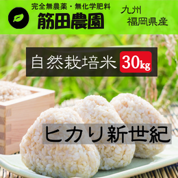 30年度産 福岡県 自然栽培米 ヒカリ新世紀 30kg 玄米