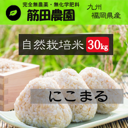 福岡県 自然栽培米 にこまる 30kg 玄米　農薬・化学肥料不使用