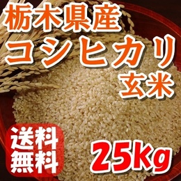 【送料無料】令和元年産新米!栃木県産　コシヒカリ　玄米