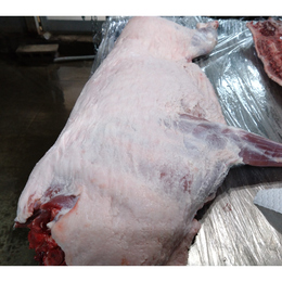 【小田原産】:猪半身　約4kg