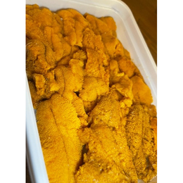 【サンプル】人気の綺麗な雲丹!Aグレード【1パック〜】生冷凍　濃厚ウニ100g