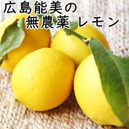 【有機栽培】広島能美の無農薬 レモン