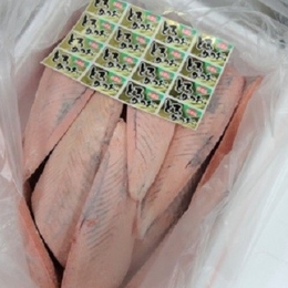 【飲食店応援商品】冷凍とろかつおスキンレスく原魚サイズ2.5上脂選別品>