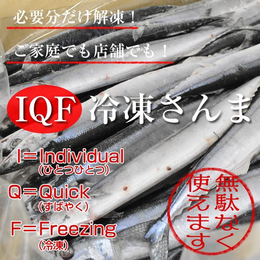 【東北関東甲信越は送料無料】IQF冷凍さんま 7.5kg(60尾)