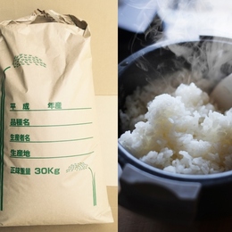 【減農薬】29年産 私が愛情をそそいでつくったコシヒカリ 精米