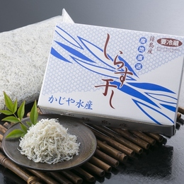 【送料無料】愛知 篠島 こだわりしらす 500g