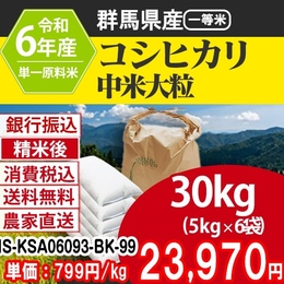 コシヒカリ 大粒中米 群馬県 沼田 R6年産 単売価 銀行振込 IS-KSA06093-BK-99