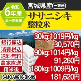 ササニシキ 整粒米 精白米 宮城県 R6年 白米 銀行振込 IS-MOA06163-BK-99