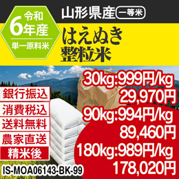 はえぬき 整粒米 精白米 山形県 R6年 精白米 銀行振込 IS-MOA06143-BK-99